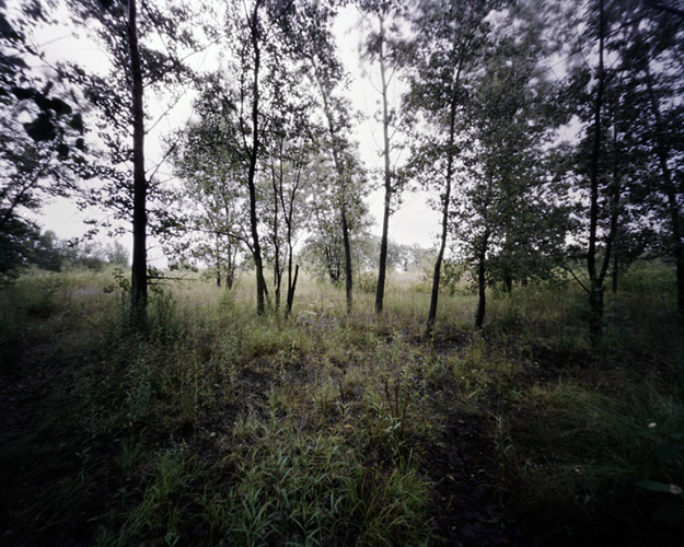 06h.